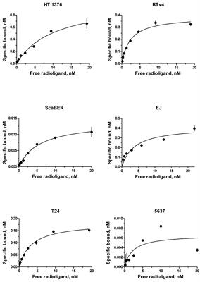 Antitumor Activity of Auger Electron Emitter 111In Delivered by Modular Nanotransporter for Treatment of Bladder Cancer With EGFR Overexpression